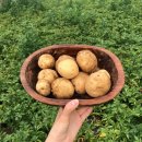 수미떡방앗간 이미지