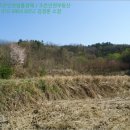 포항시남구대송면장동보건진료소 이미지