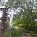 솔마루길 대공원산 이미지