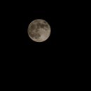 24.10.14-20의 일상