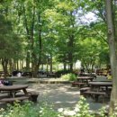 장미커피숍 이미지