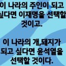뱃살도둑샐러드월배점 이미지