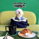 파란집 | 은평구 애견동반 카페ㅣ라떼 맛집 파란기와집 카페 "카페 원츠" 후기