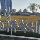 강 나 루 이미지