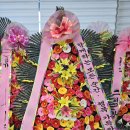 성의농장 | 양재 aT센터 100송이 축하화환 배송 후기