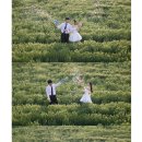 오그집 | 셀렉하기 전에 이 글 꼭 보세요...❗️&웨딩촬영후기 / 바오그 촬영 후기 / 바오그 웨딩촬영 앨범 + 결과사진