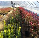 청수농장 이미지