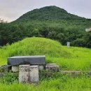 김극뉴 묘역 이미지