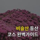 비슬산휴양림주차장매점 | 100대 명산 비슬산 등산코스, 최단코스부터 일몰 명소까지 총정리