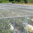 동머리농장 이미지