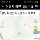 20대 여손 집에 강제 취침..ㅋㅋ 이미지