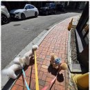 어뮤즈 호텔 이미지