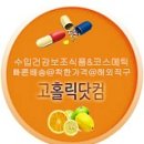 핸드홀릭