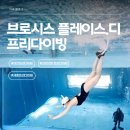 프리커뮤니티 | 수영 못해도 괜찮아요 - 브로시스 플레이스디 프리다이빙 대전 원데이 체험 후기
