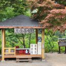 백수광부 이미지