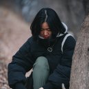 고양이동산 이미지