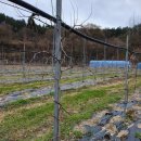 다모아농장 이미지