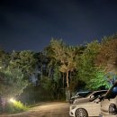 더블링독 이미지