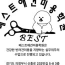 베스트의정부애견미용학원