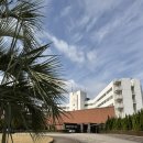 플레이 골프 | [가고시마 골프] 사츠마 CC 라운드 후기: 여유로운 플레이와 온천의 힐링