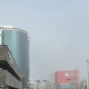 제주 태교여행 2일 / 우진해장국, 비케이브 카페, 손맛촌 에코랜드 / 내돈내산