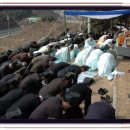 이극견 가계 석물군 이미지