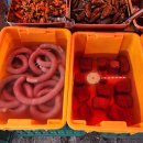원곡바른메지칼의원 | [서울 근교/안산 가볼만한 곳 추천]안산다문화음식거리; 중국인아침 길거리음식 지엔빙(煎饼)전병 맛집