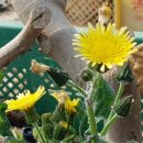 땅끝힐링하우스 이미지