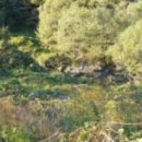 가야면 성기리 이미지