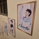 486펫콜 서울종로점 | [난쟁이들 후기] 커튼콜위크 관람! 좌석 시야·자리 추천·팁 총정리