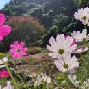 상지농장 이미지