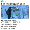 7번가데이 이미지