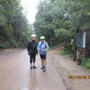 수원-0006 이미지