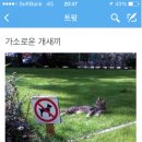 가소 이미지