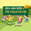 국화리팜랜드 이미지