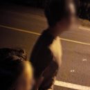 나현테라피안마센터 | 제주 5 (평대국수 성게국수/ 비자숲힐링센터 건습식테라피 예약후기/ 하도리안 숙소 옆 한치구이집...