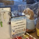 마크라메 나만의 소품 만들기 | 수원 행궁동 소품샵 나만의 DIY 키링 만들기 후기_뮤니버스