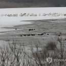 동림농장 이미지