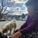 오도경로당 이미지