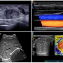 독산참연세의원 이미지