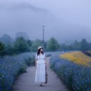 5월23/24(토,일) 함안 &amp; 초여름의색채(미드님 진행) 이미지