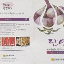 단영마늘(신품종) 자료 이미지