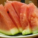 정훈목장 이미지