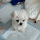 24시 미니 무인샵