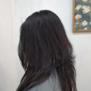 보경헤어 이미지