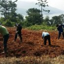 이동면 화계 이미지