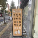 션하냥 네이버블로그