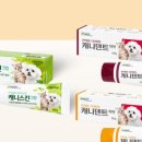 덴트스토어 네이버블로그