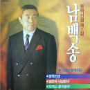 남백송 제1집 [뽕짝선생／도라산 돌아 돌아] (1989) 이미지