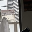 후쿠오카 워홀 D+290 | 백번도 못보는 봄에 내가 왜 지금을 놓쳐야해